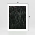 Plakat bez ramy 30x40 - Wysoko nad Iglastym Lasem - las, perspektywa