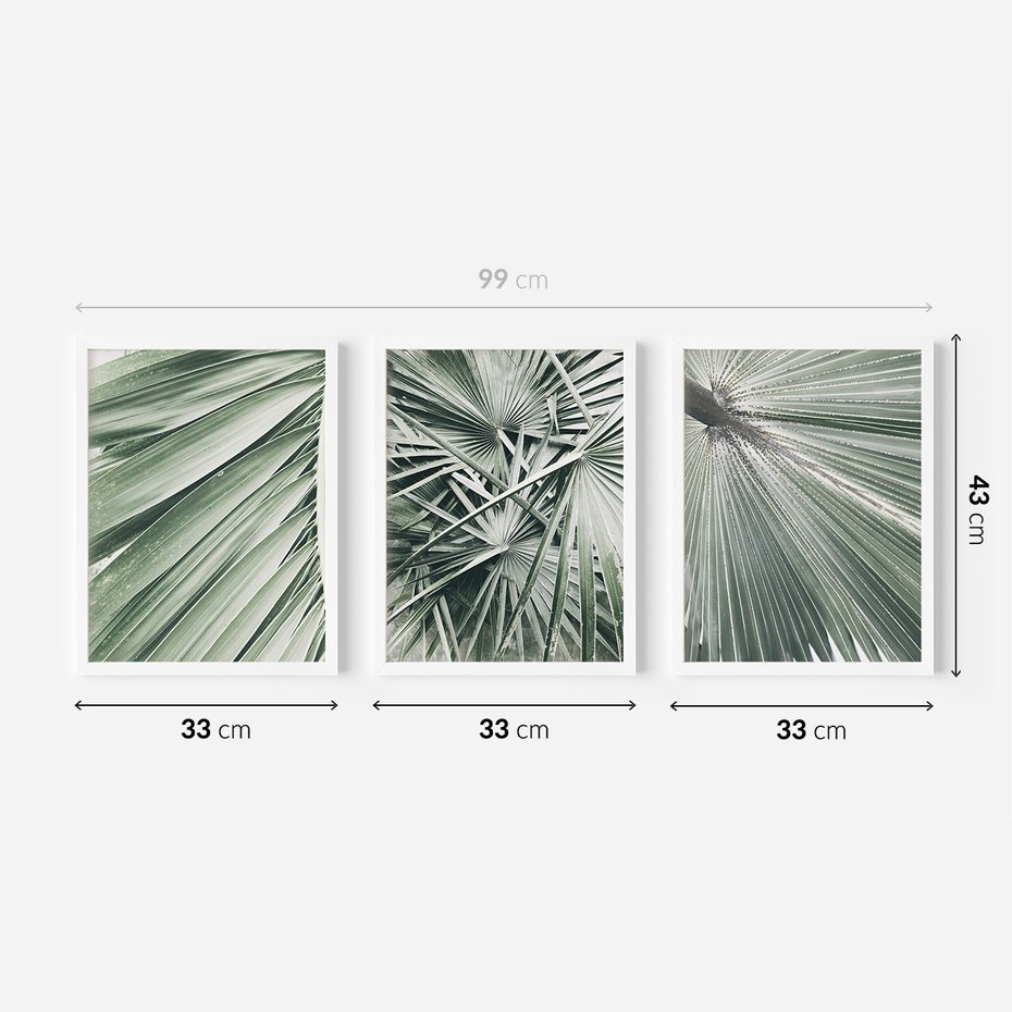 Zestaw obrazy w ramie 30x40 galeria - Palmy, liście, zielone - rama biała