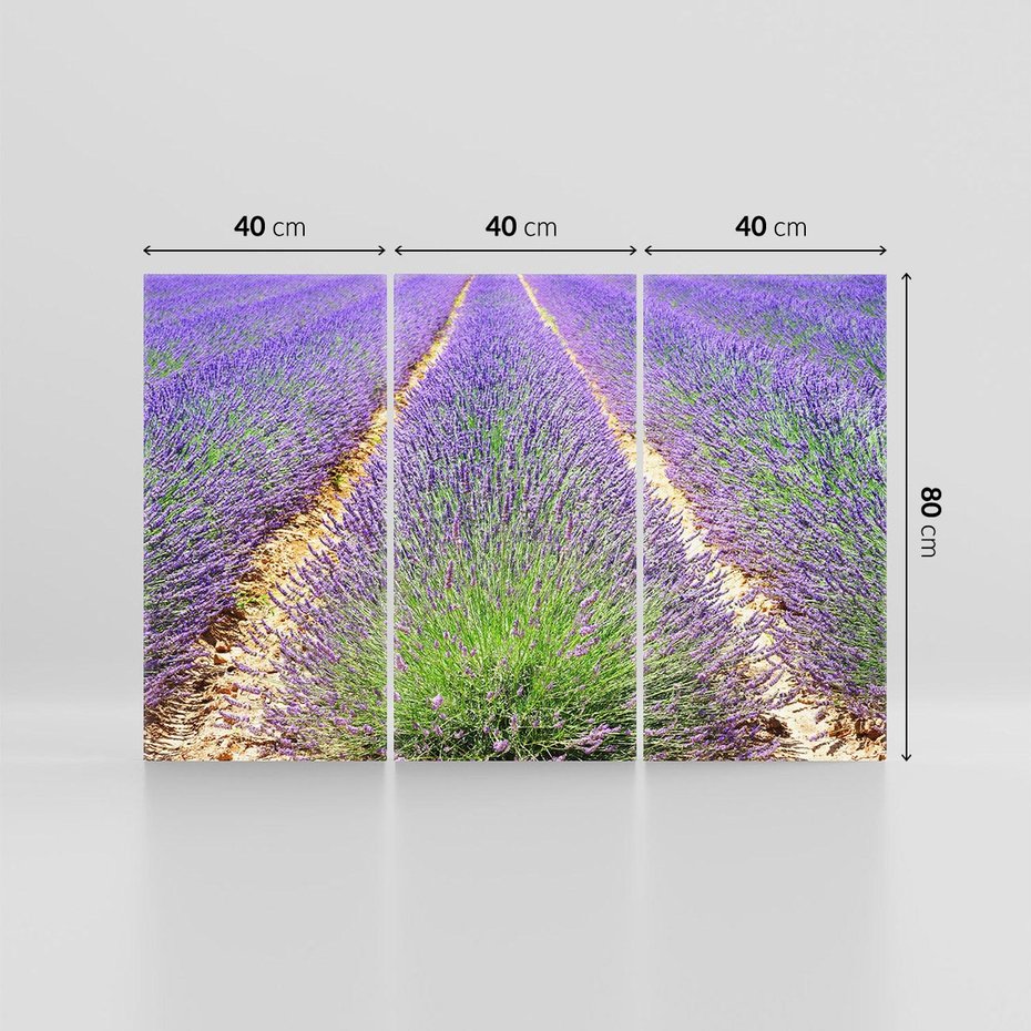 Obraz na płótnie 120x80 - Lawendowy kwiat - lawenda, kwiat