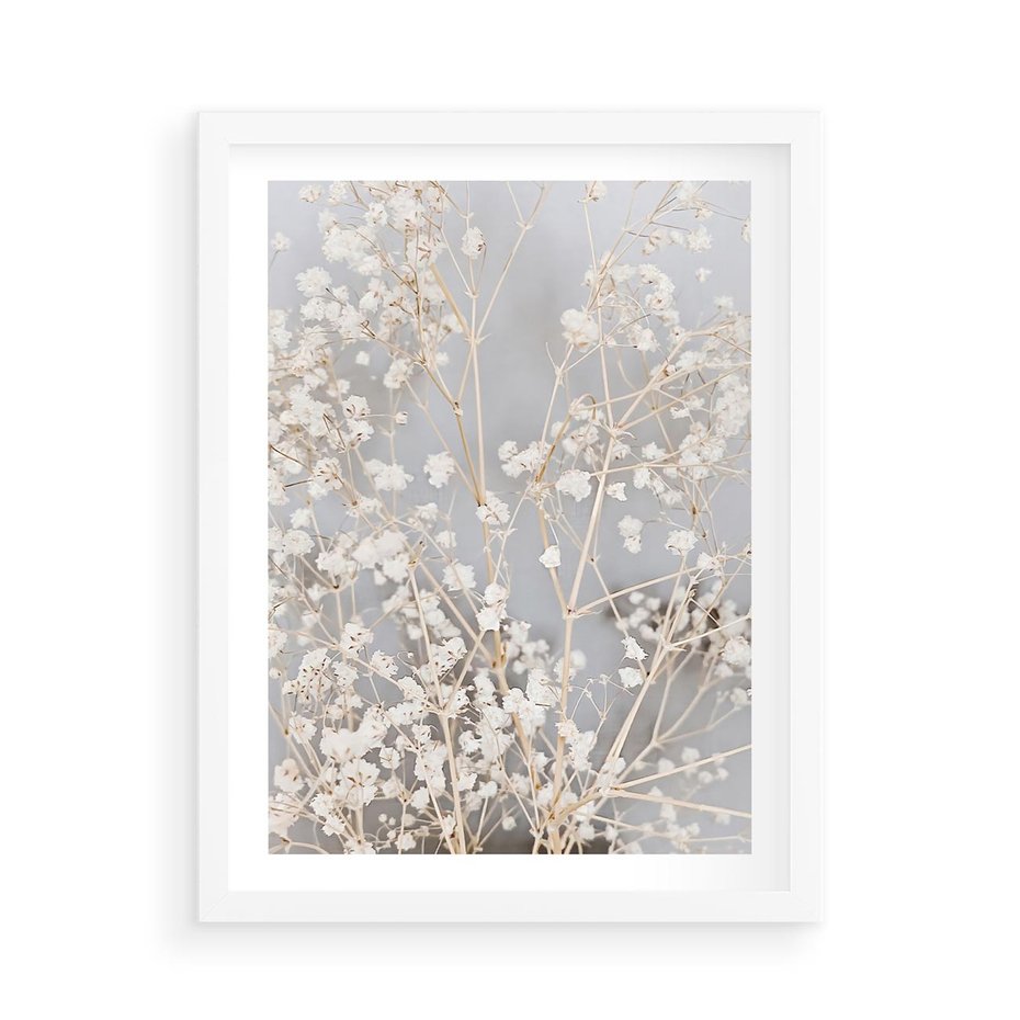 Plakat w ramie 50x70 - Białe Drobne Kwiaty - gipsówka, białe drobne kwiatki - rama biała