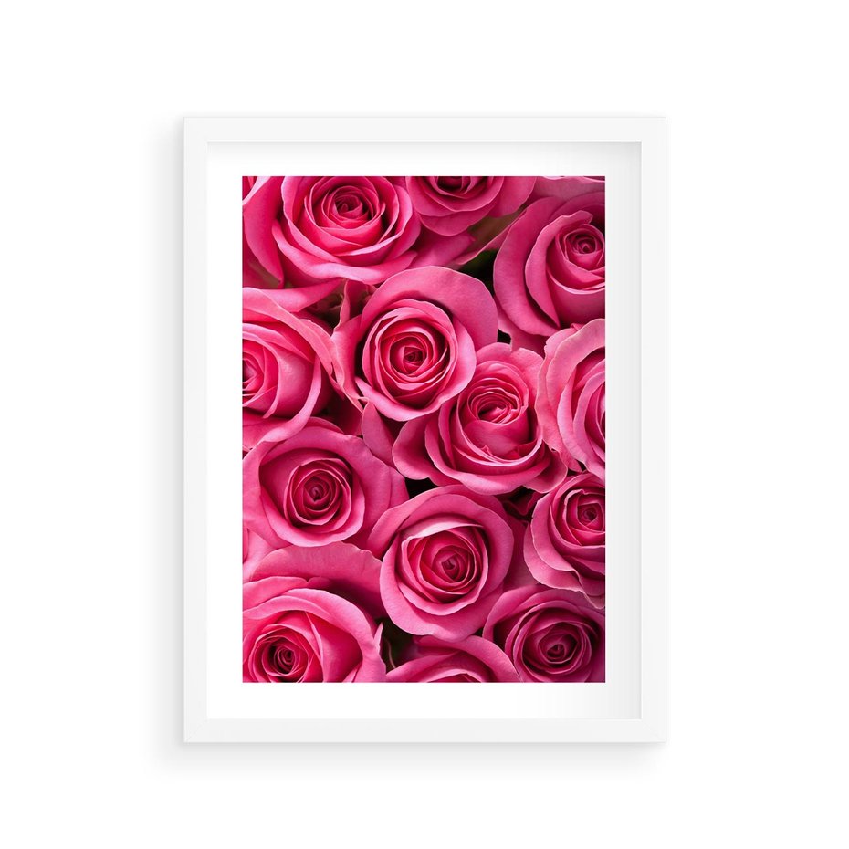 Plakat w ramie 30x40 - Romantyczne róże w pełnym rozkwicie - róże, kwiaty - rama biała