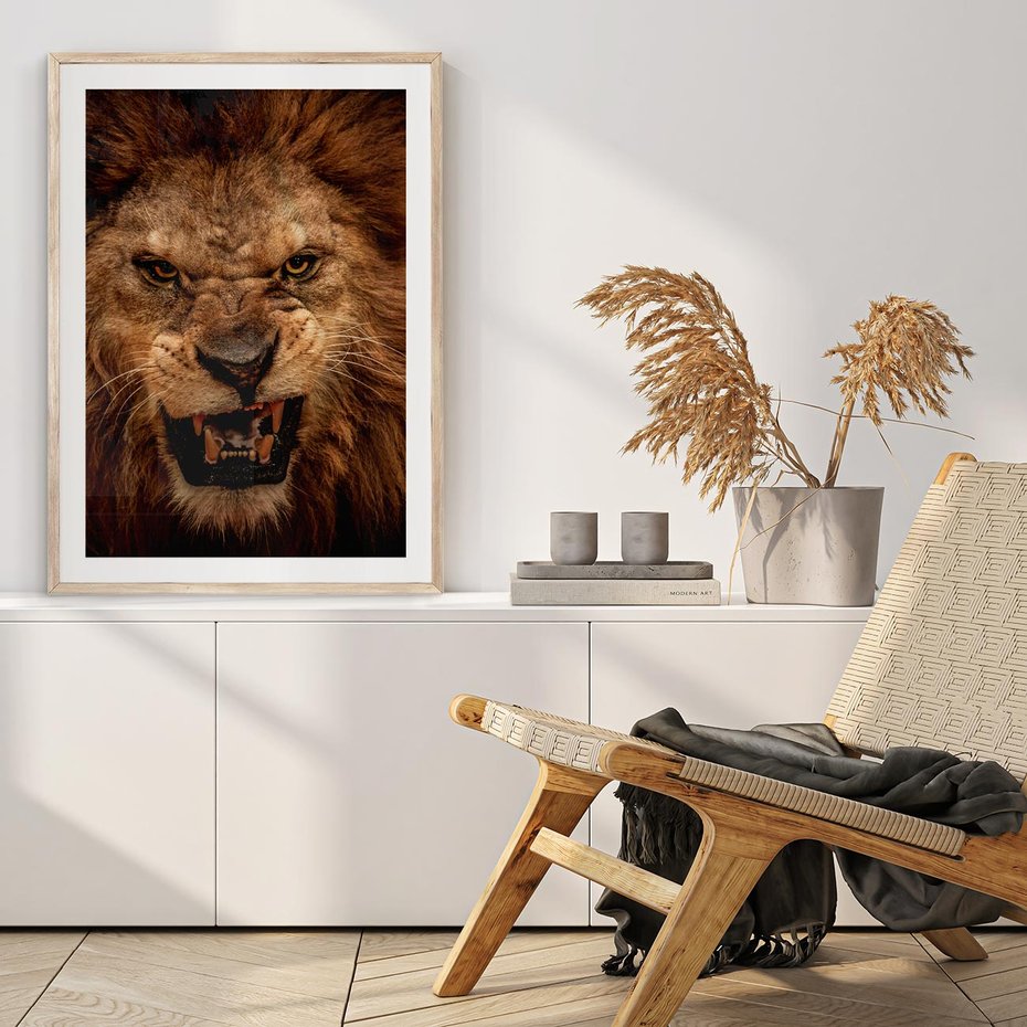 Plakat w ramie 30x40 - Władca Sawanny - lew, sawanna - rama drewno