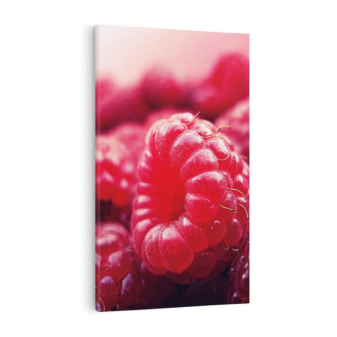 Obraz na płótnie 80x120 - Maliny Soczysta Eksplozja - maliny, owoce
