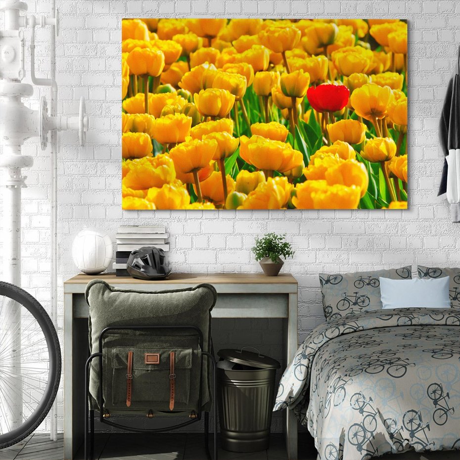 Obraz na płótnie 70x50 - kwiatowa elegancja - tulipany, kwiat