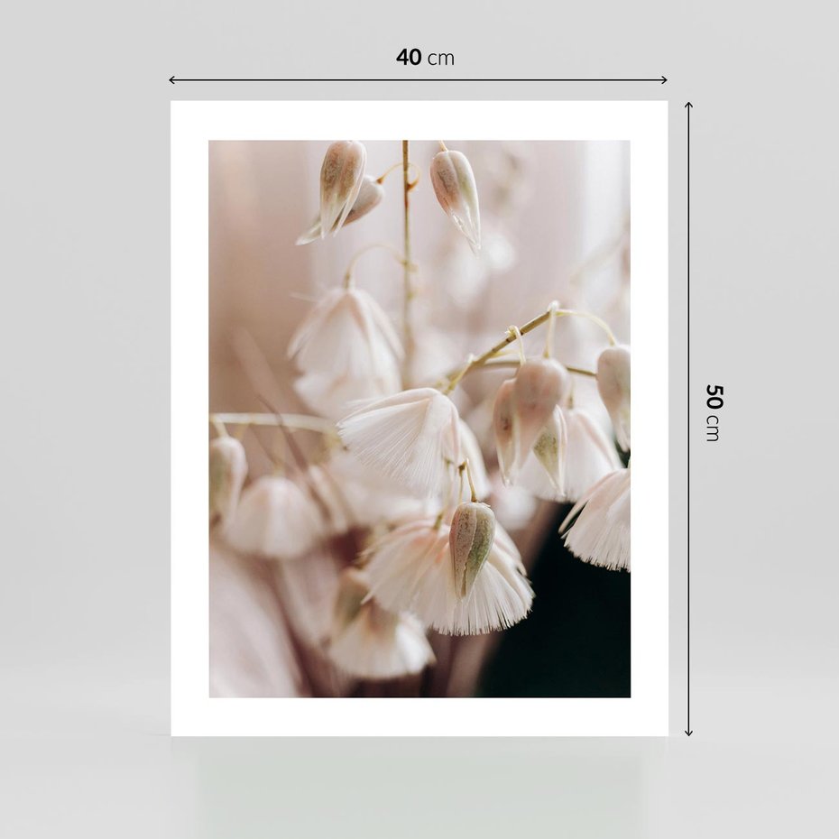 Plakat bez ramy 40x50 - Suszona Delikatność - suszone kwiaty, rośliny