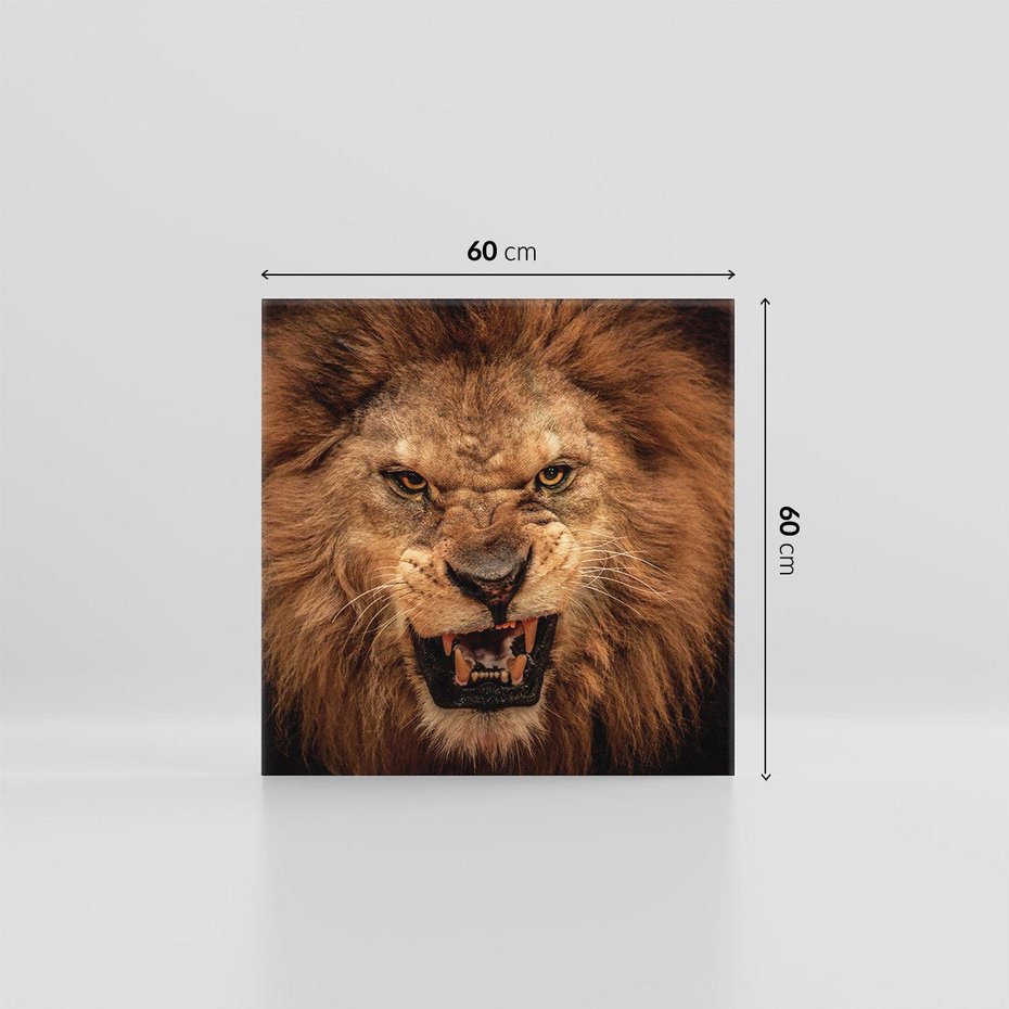 Obraz na płótnie 60x60 - Władca Sawanny - lew, sawanna