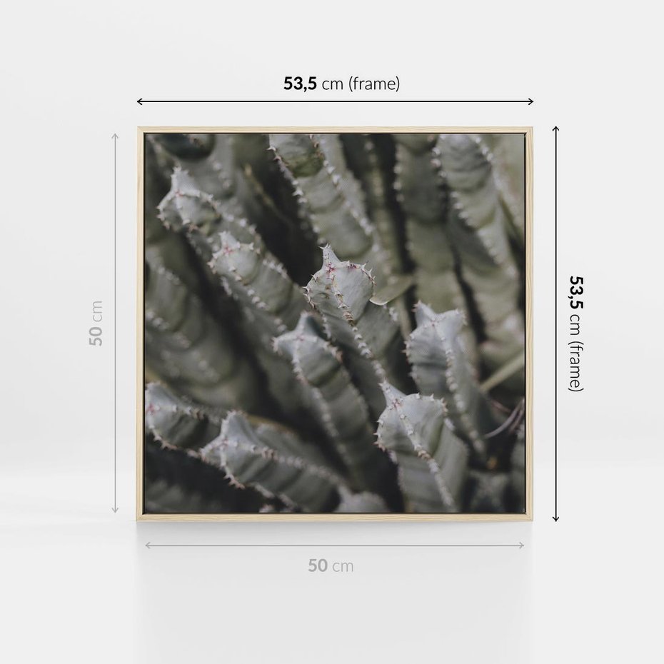 Obraz w ramie 50x50 - Boho kaktusy na pustyni - kaktusy, pustynia - rama drewno