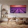 Obraz na płótnie 120x60 - Lawenda: polne zauroczenie - lawenda, kwiaty