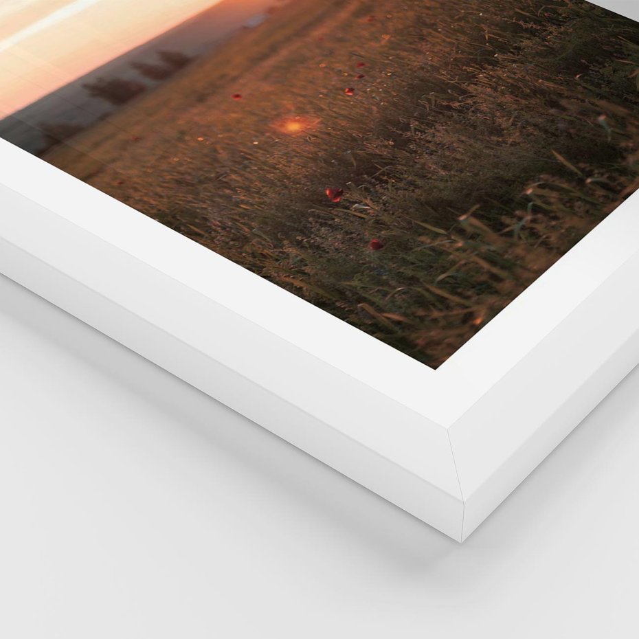 Plakat w ramie 40x50 - Łąka we Wschodzącym Słońcu: Magia Poranka - łąka, krajobraz - rama biała