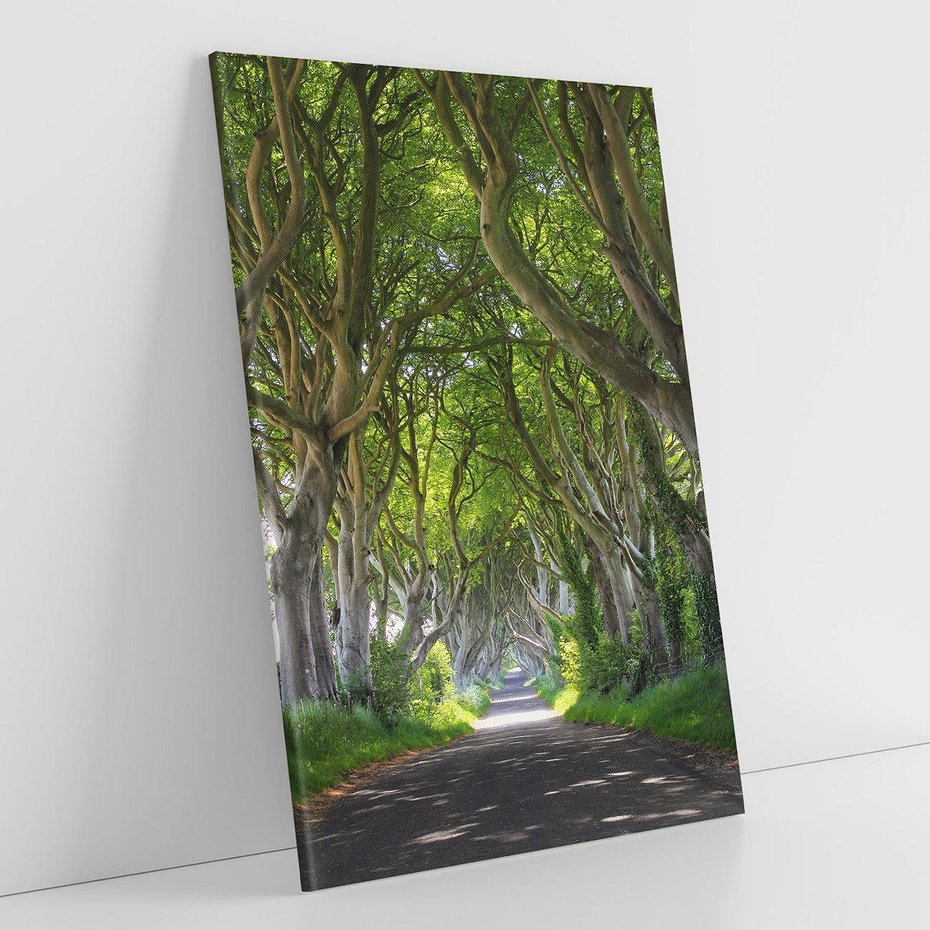 Obraz na płótnie 80x120 - Magiczny Las - drzewa, las