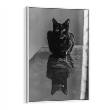 Obraz w ramie 80x120 - Kocie Oczy - kot, czarno białe zdjęcie - rama biała