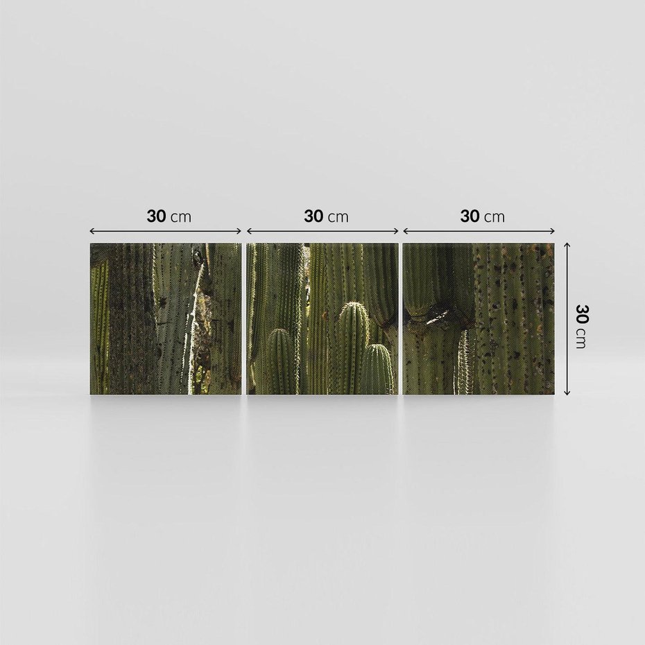 Obraz na płótnie 90x30 - Wyjątkowy Klimat Boho - kaktusy, pustynia