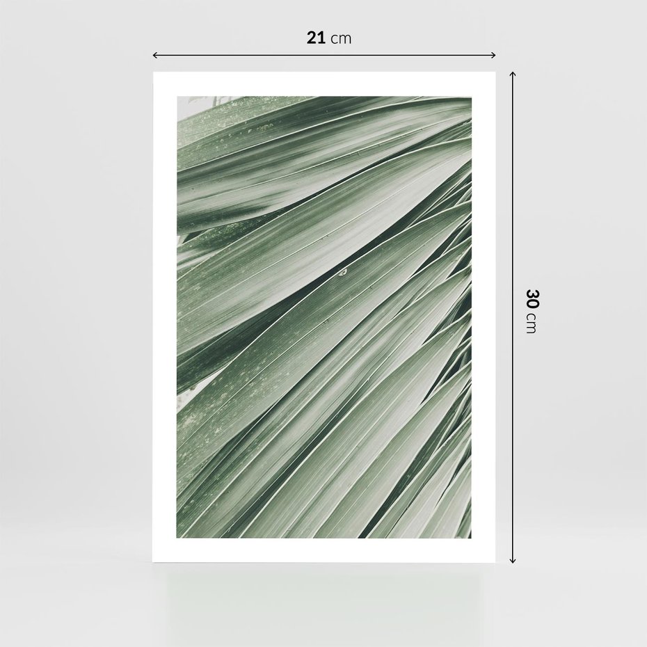 Plakat bez ramy 21x30 - Tropikalna Oaza - zielony liść palmy, zieleń