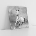 Obraz na płótnie 30x30 - Elegancja w Czarno-Białym - koń, biało