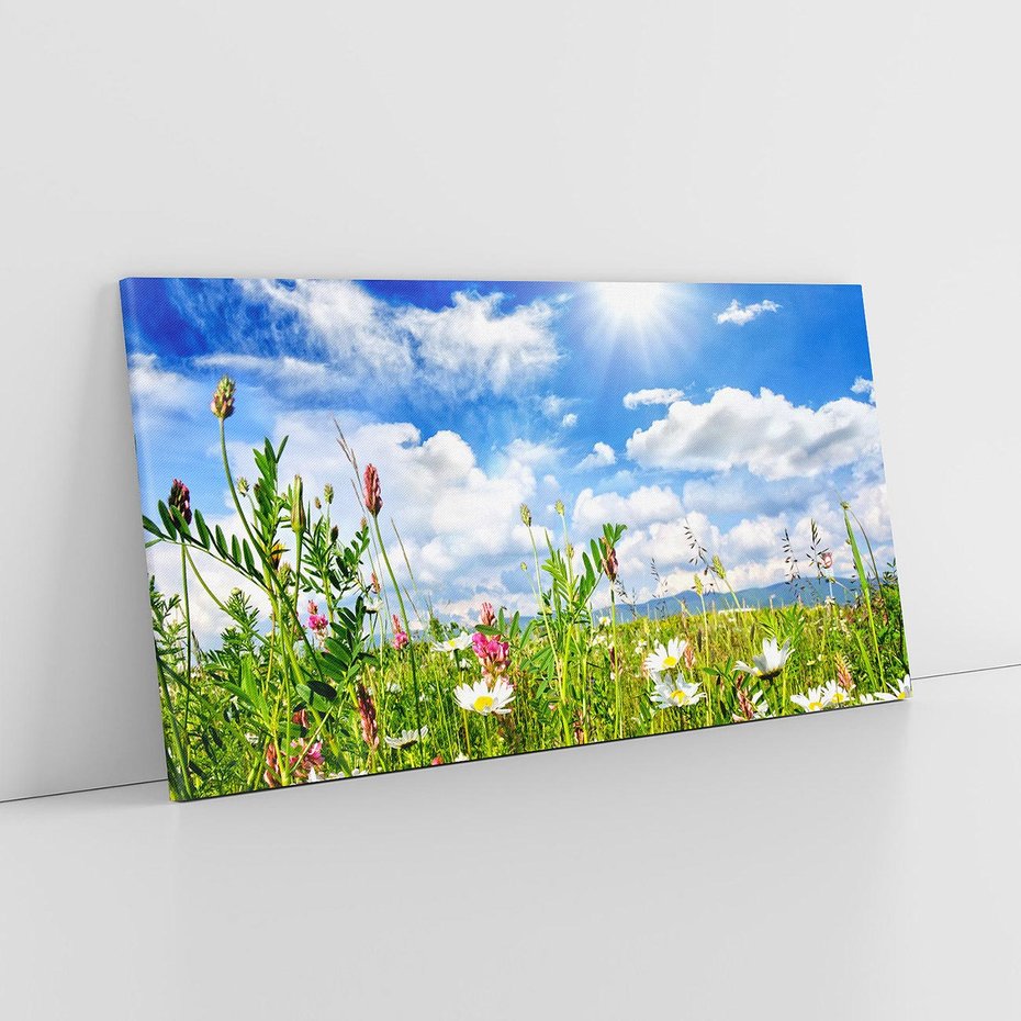 Obraz na płótnie 120x60 - Niebiańska łąka pełna kwiatów - łąka, niebo