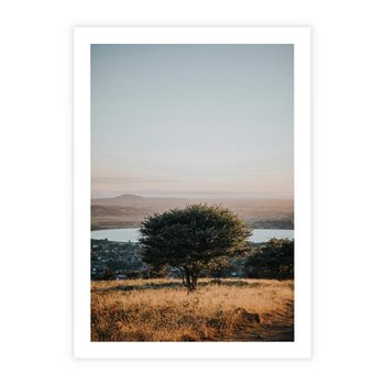 Plakat bez ramy 40x50 - Siła Natury - drzewo, pejzaż