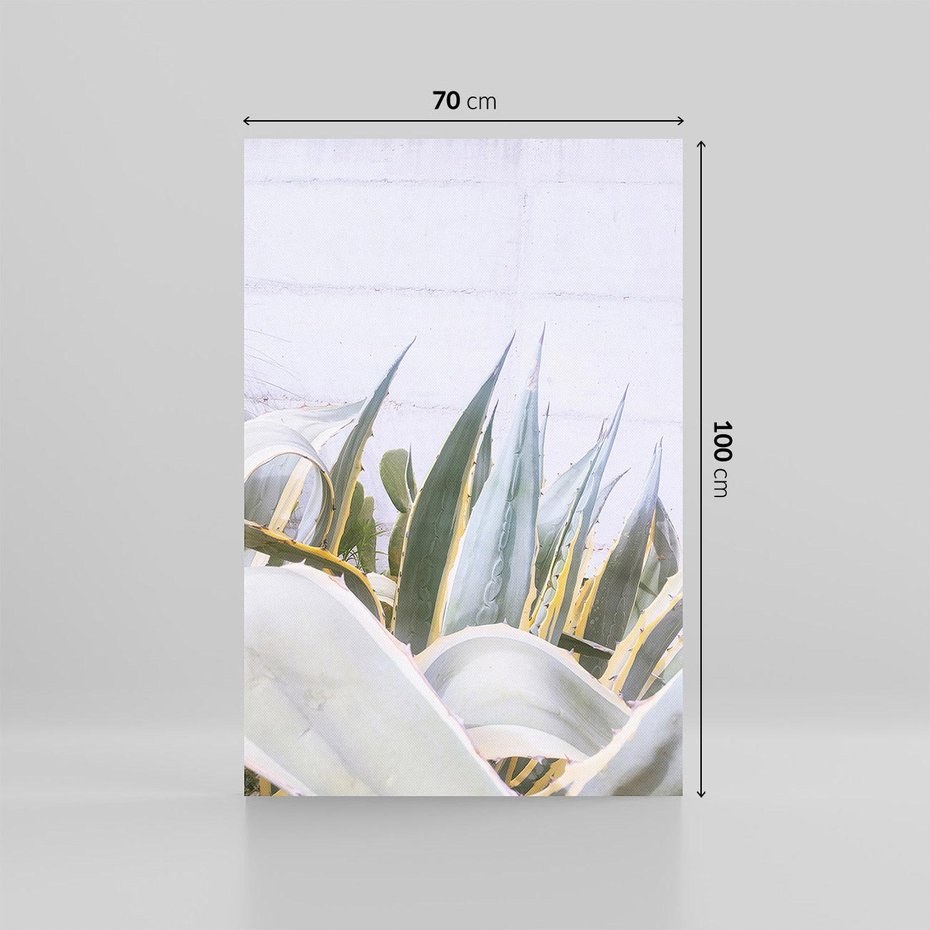 Obraz na płótnie 70x100 - Sukulentowe liście - liście, sukulenty