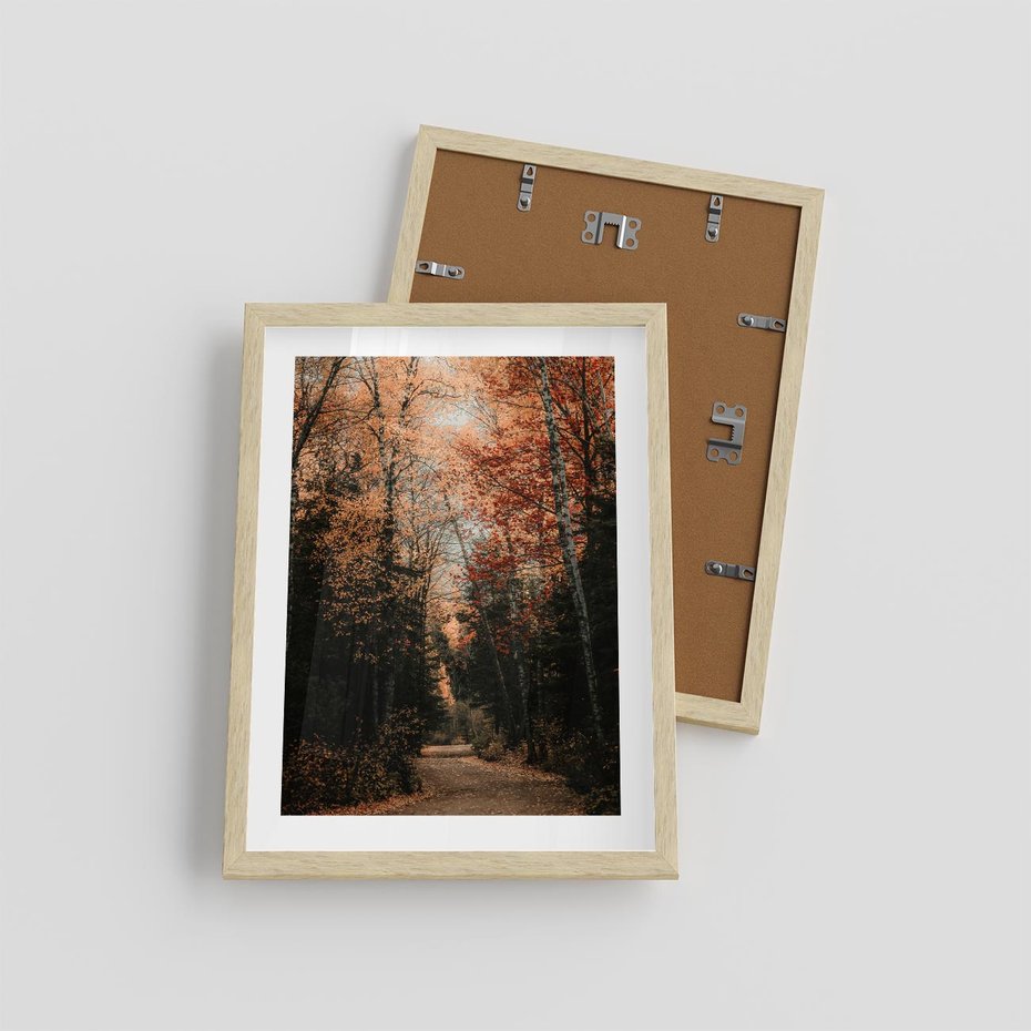 Plakat w ramie 30x40 - Drzewa w Czerwonych Liściach - las, jesienny las - rama drewno