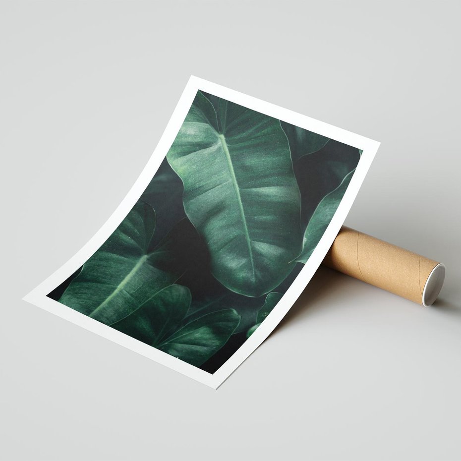 Plakat bez ramy 50x70 - Liście Bananowca - minimalizm, zielone liście bananowca