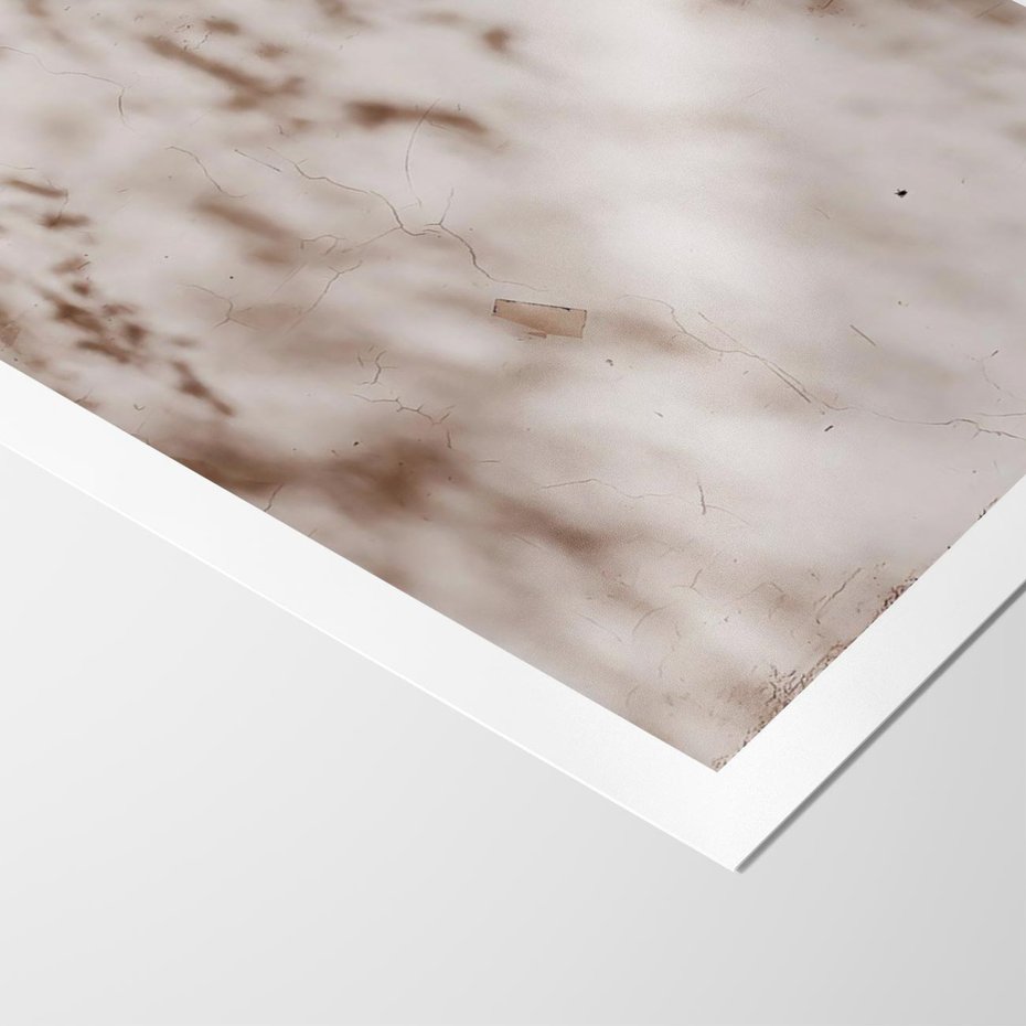 Plakat bez ramy 30x40 - Cień Gałęzi - beżowa ściana, cień gałęzi