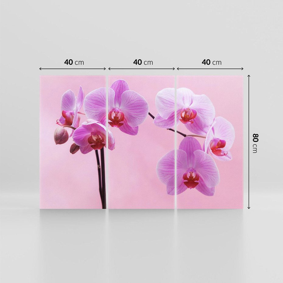 Obraz na płótnie 120x80 - Elegancka orchidea w pełnym rozkwicie - orchidea, kwiaty