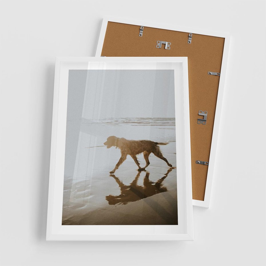 Plakat w ramie 50x70 - Przyjaciel na Plaży - pies, na plaży - rama biała