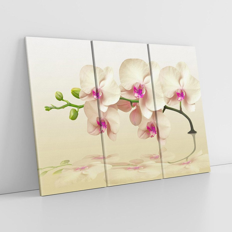 Obraz na płótnie 120x80 - Kwiatowa harmonia w SPA - orchidea, kwiat