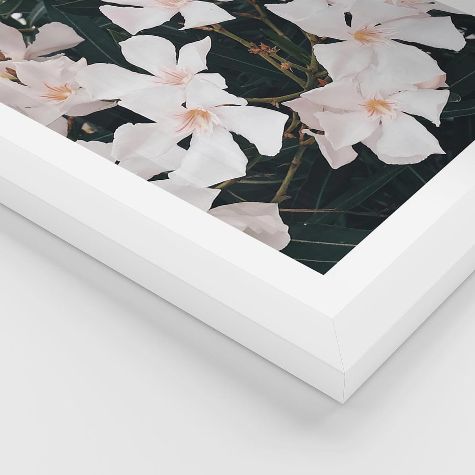 Plakat w ramie 30x40 - Egzotyczna Uroda - białe kwiaty, tropikalne kwiaty - rama biała