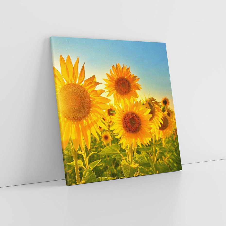 Obraz na płótnie 50x50 - kolorowe promienie - słoneczniki, kwiaty