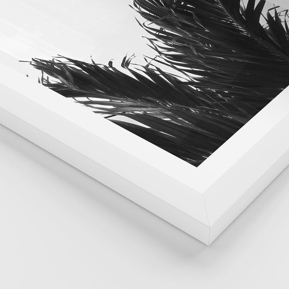 Plakat w ramie 50x70 - Tropikalna Uroda w Czerni i Bieli - fotografia czarno biała, liście palmy - rama biała