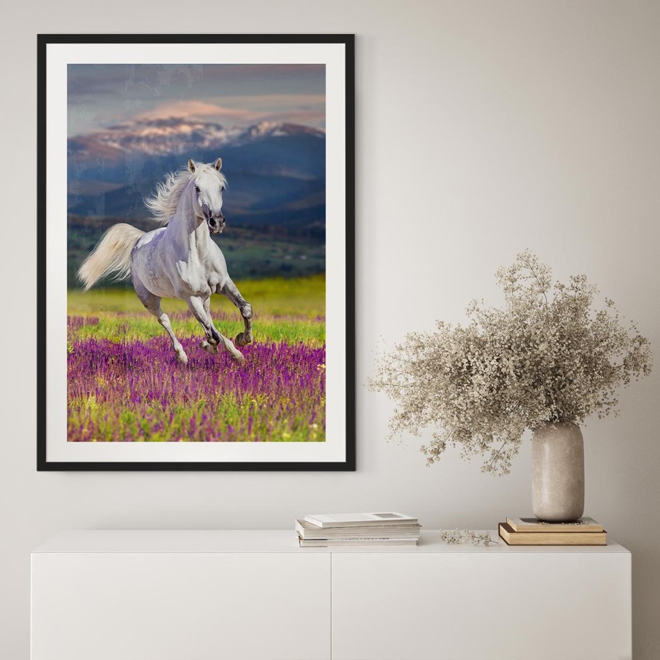 Plakat bez ramy 21x30 - Koń Góry: Spotkanie z Wielką Przyrodą - koń, góry