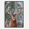 Obraz w ramie 70x100 - Monarcha Zimowej Dziczy - jeleń, zima - rama czarna
