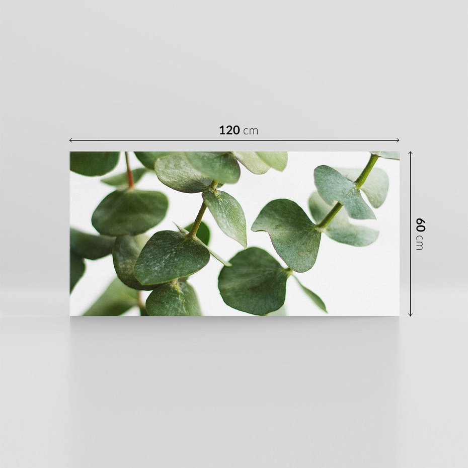 Obraz na płótnie 120x60 - Zielone eukaliptusy - eukaliptus, liście