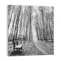Obraz na płótnie 40x40 - Spadające Liście - czarno białe zdjecie, park