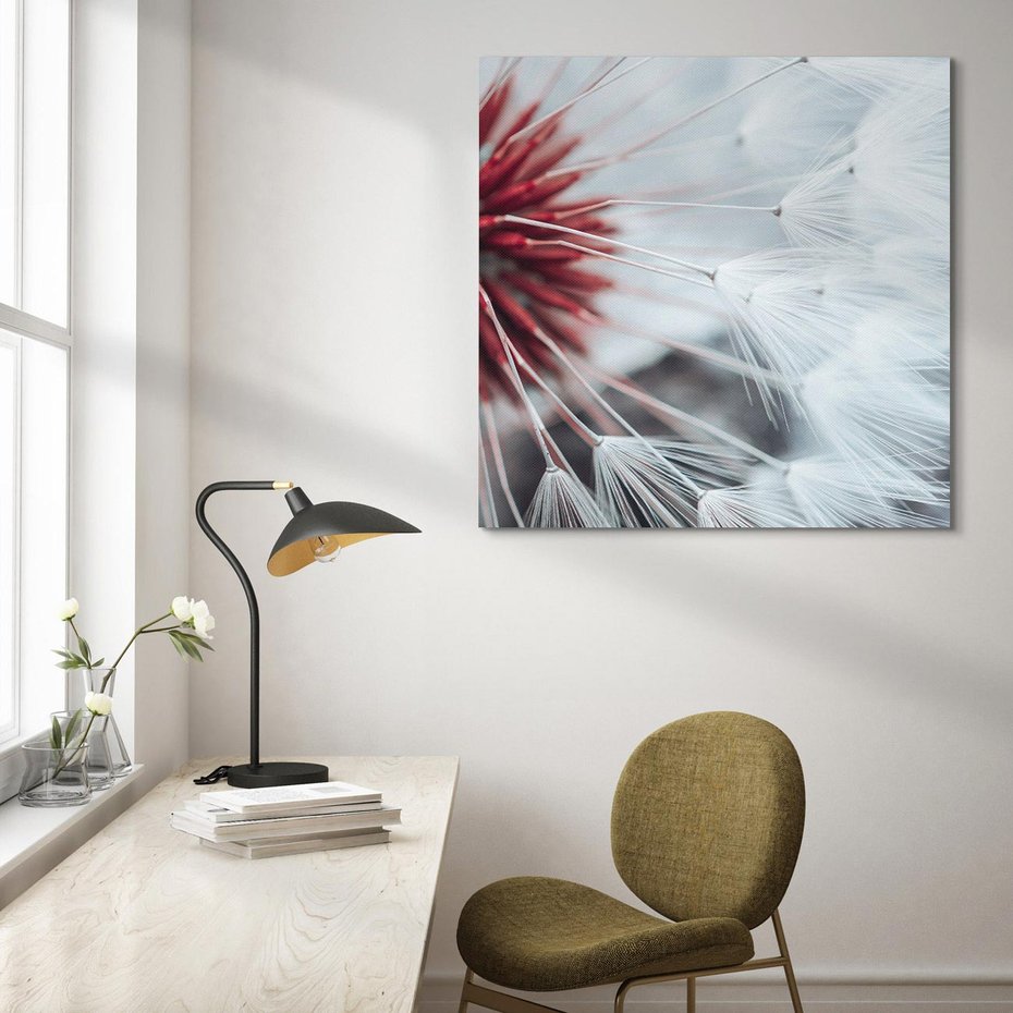 Obraz na płótnie 40x40 - Makro świat dmuchawca - dmuchawiec, makro