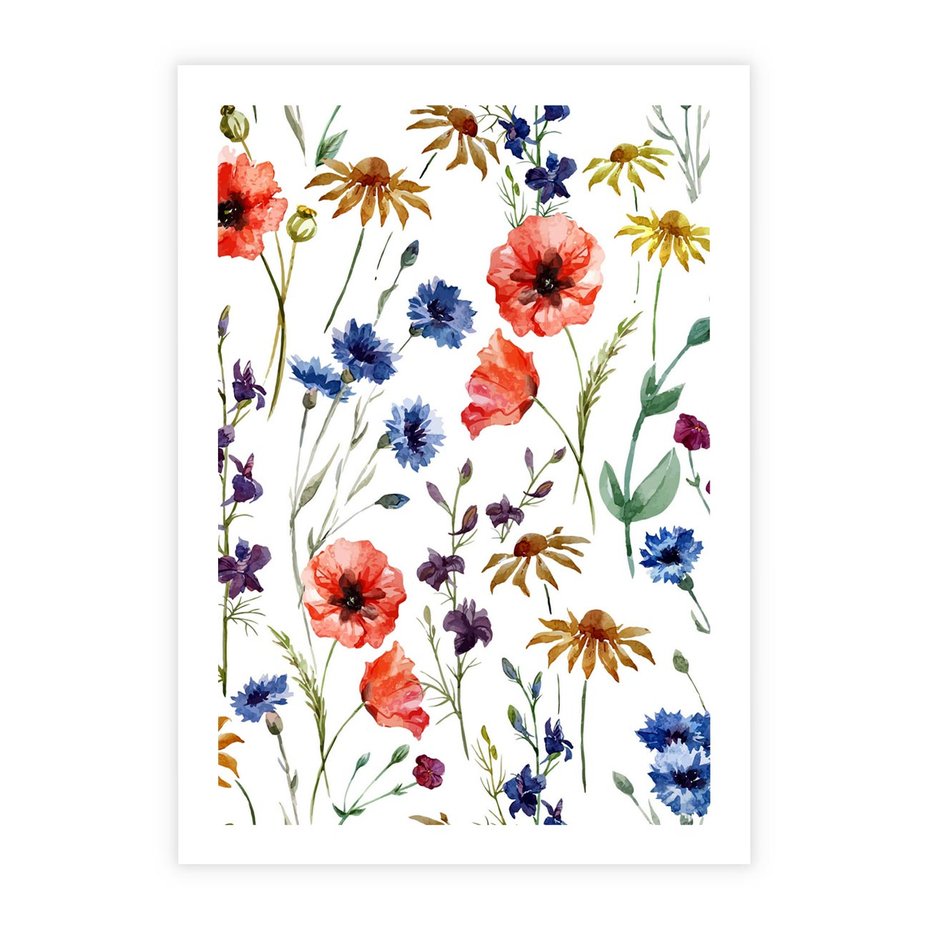 Plakat bez ramy 21x30 - Kwiatowe radości na łące - kwiaty, łączka