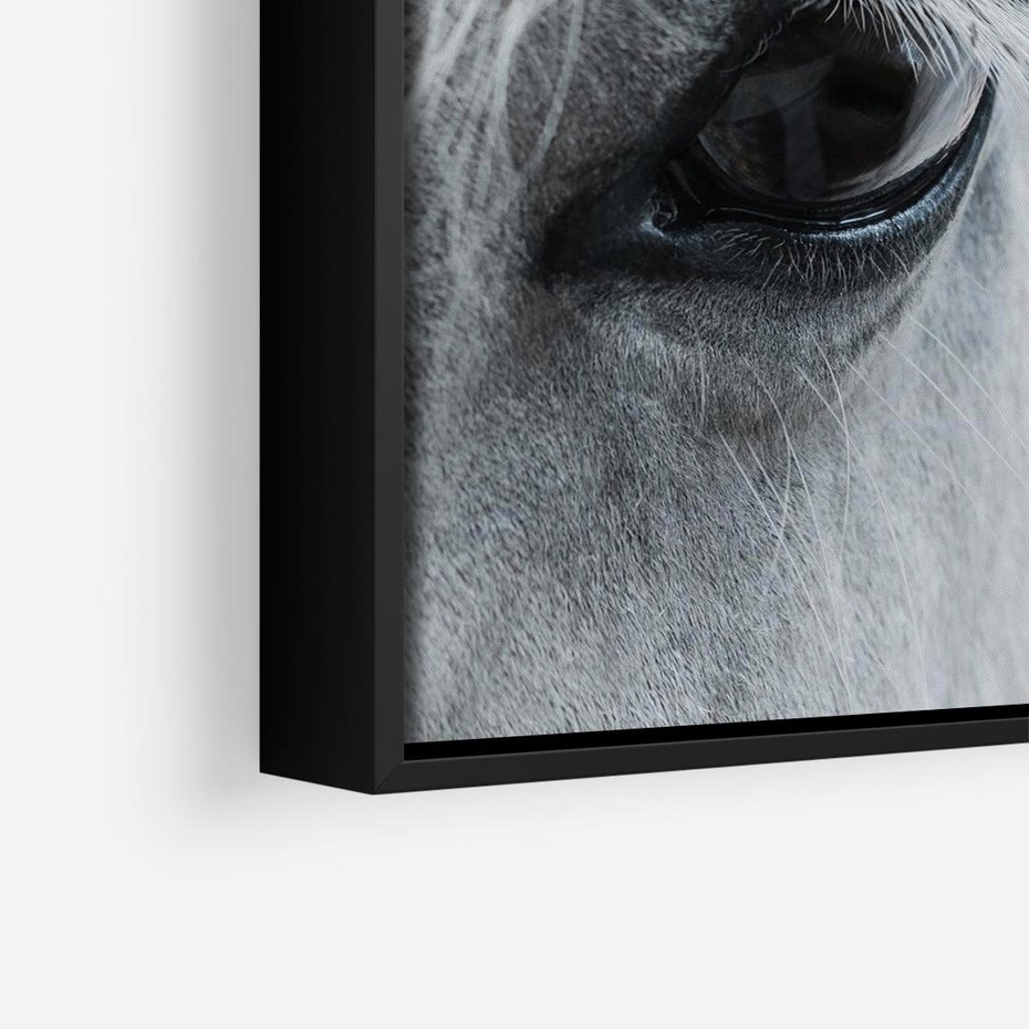 Obraz w ramie 50x50 - Oko Mocy - czarno białe zdjęcie, zbliżenie makro na oko konia - rama czarna