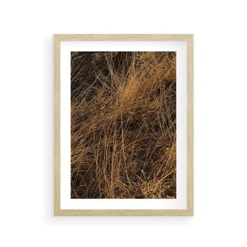Plakat w ramie 40x50 - Szlachetna Suchość Traw - trawy, suche trawy - rama drewno