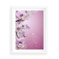 Plakat w ramie 50x70 - Relaksujące Piękno - kwiaty, orchidea - rama biała
