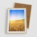 Plakat w ramie 50x70 - Żyzne Pola - pole, pszenicy - rama drewno