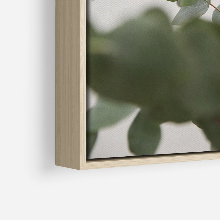 Obraz w ramie 80x120 - Liście eukaliptusa w naturze - eukaliptus, liście - rama drewno