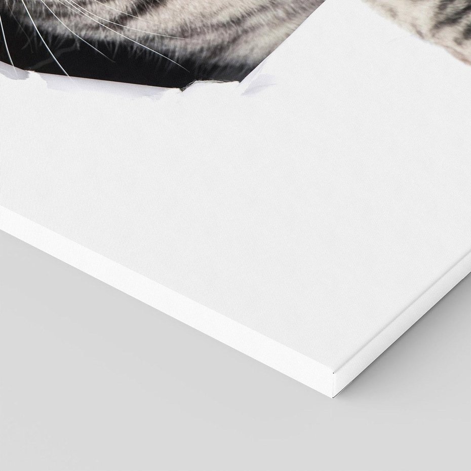 Obraz na płótnie 80x120 - Tajemniczy kot i jego świat - kot, dziura