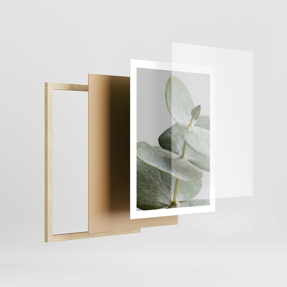 Plakat w ramie 50x70 - Eukaliptusowa zieleń - eukaliptus, zielone - rama drewno