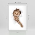 Plakat w ramie 50x70 - Kot w Dziurze - kot, dziura - rama biała