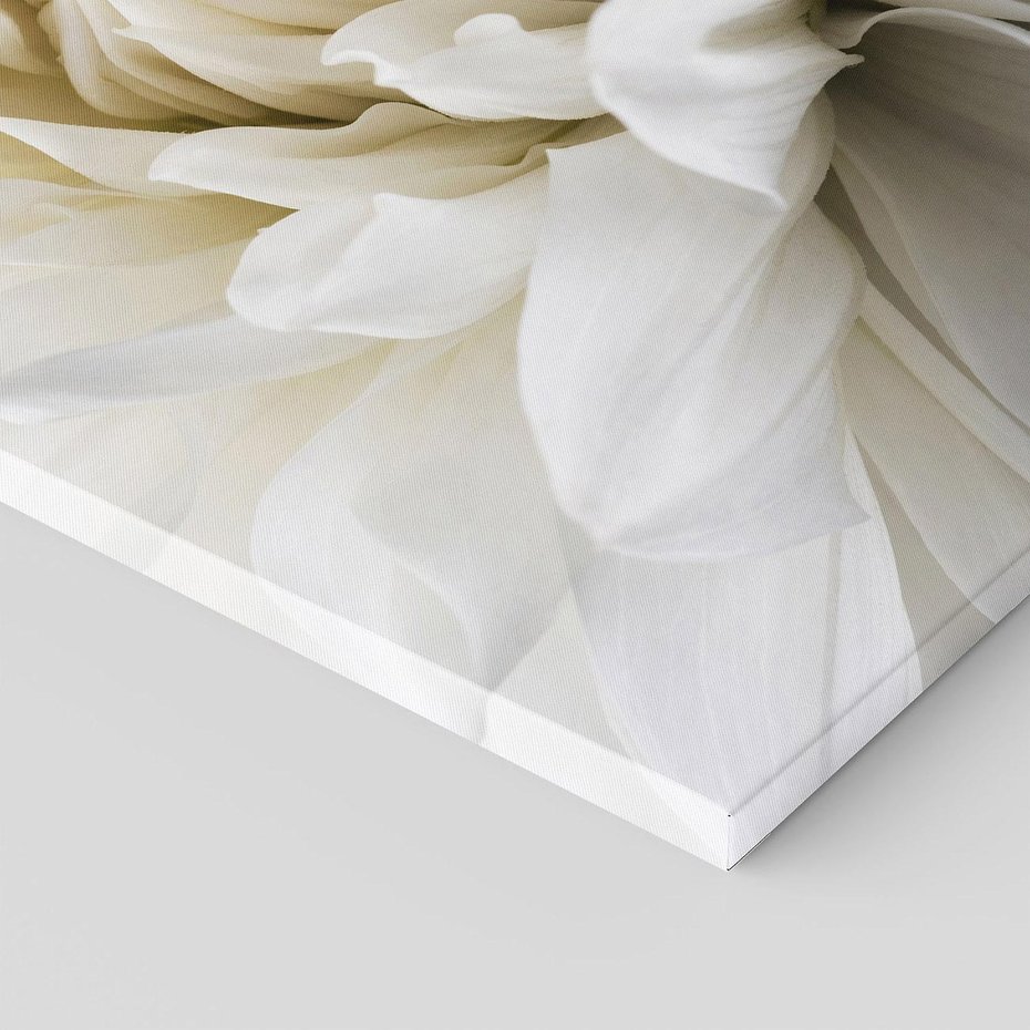 Obraz na płótnie 50x70 - Białe Kwiaty Delikatności - białe, kwiaty