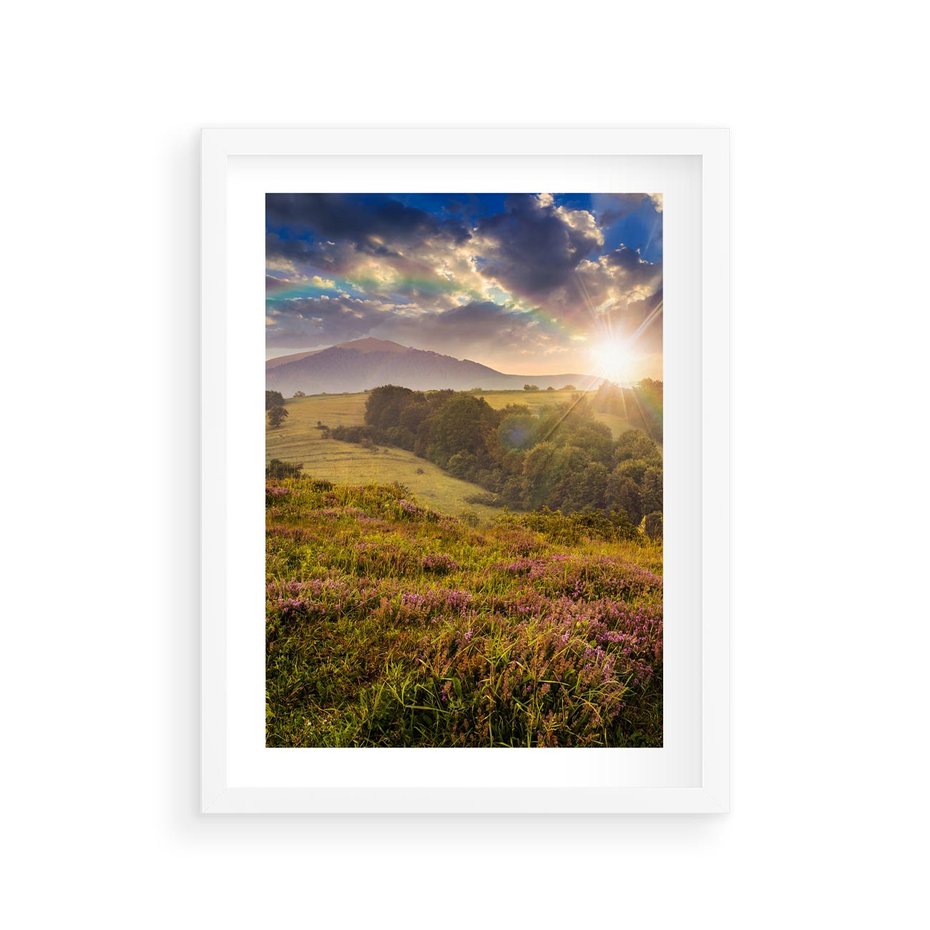 Plakat w ramie 30x40 - Pejzaż na łące - pejzaż, łąka - rama biała