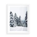 Plakat w ramie 50x70 - Zimowy Las Pod Kołdrą - las, zima - rama biała