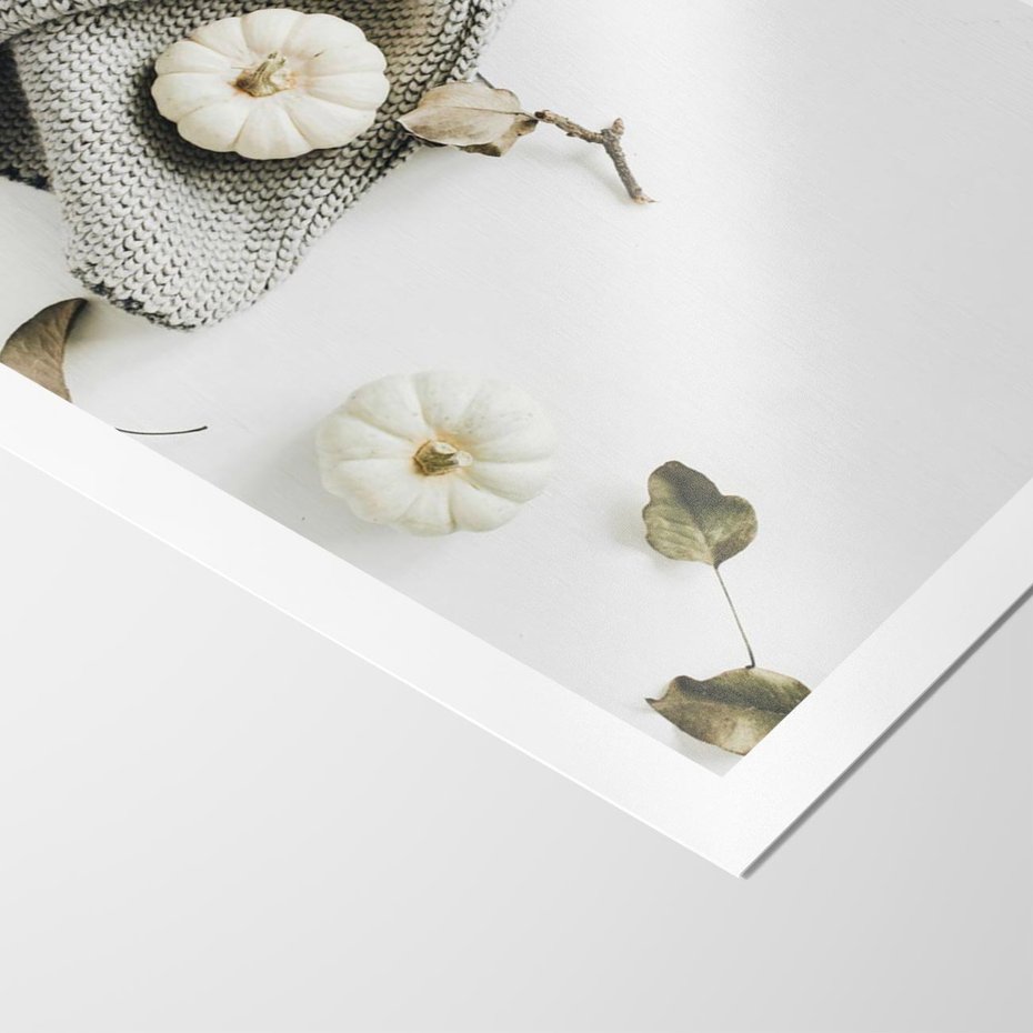 Plakat bez ramy 40x50 - Białe Dynie i Przytulny Koc - kompozycja jesienna, białe dynie