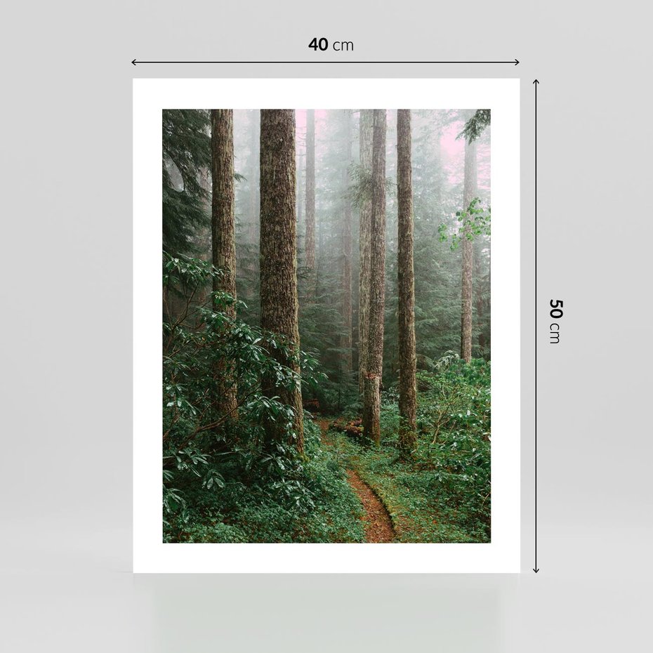 Plakat bez ramy 40x50 - Mgliste Marzenia - artystyczna fotografia, las