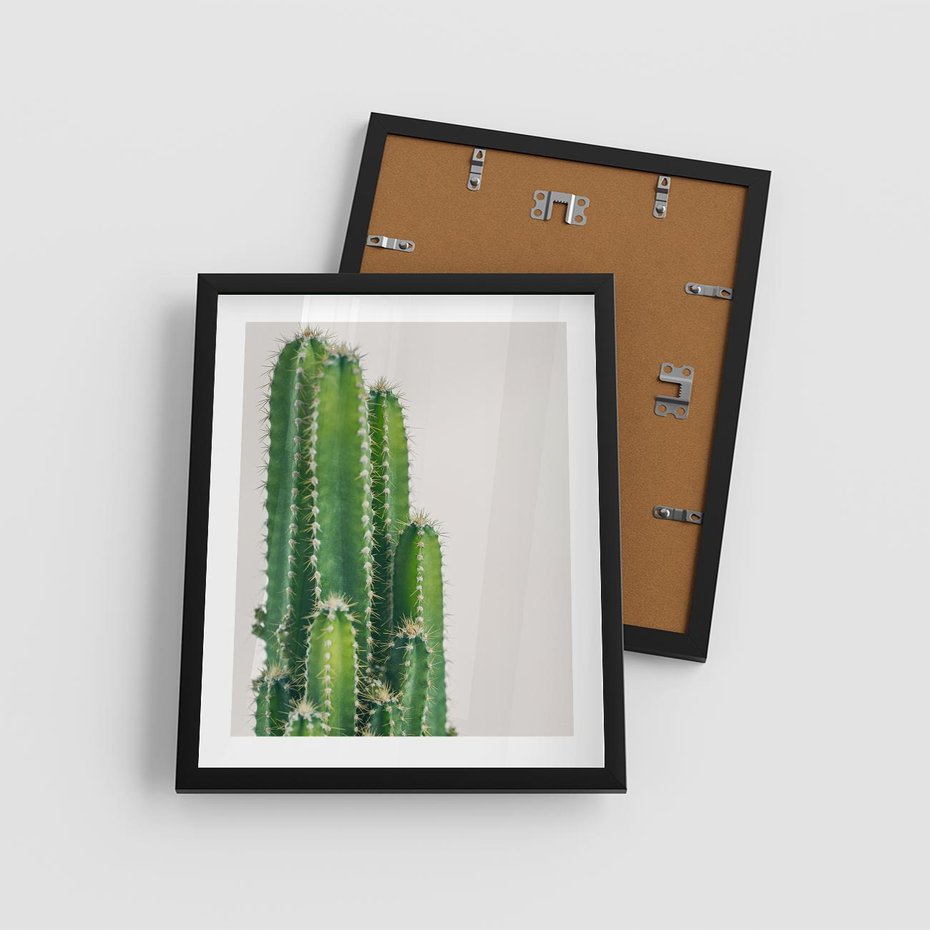 Plakat w ramie 40x50 - Minimalistyczne Kaktusy na Białym Tle - kaktusy, minimalistyczna fotografia - rama czarna